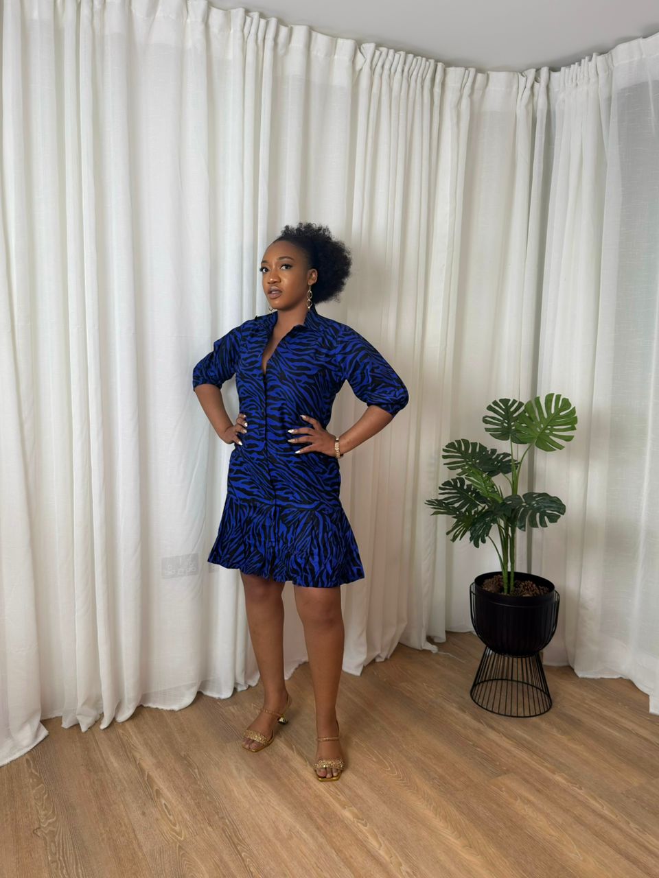 Royal Blue Zebra Print Shirt Dress